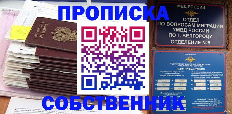 прописка законно в Оленегорске